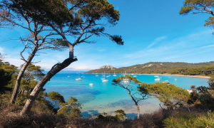 Lire la suite à propos de l’article Plages de rêve